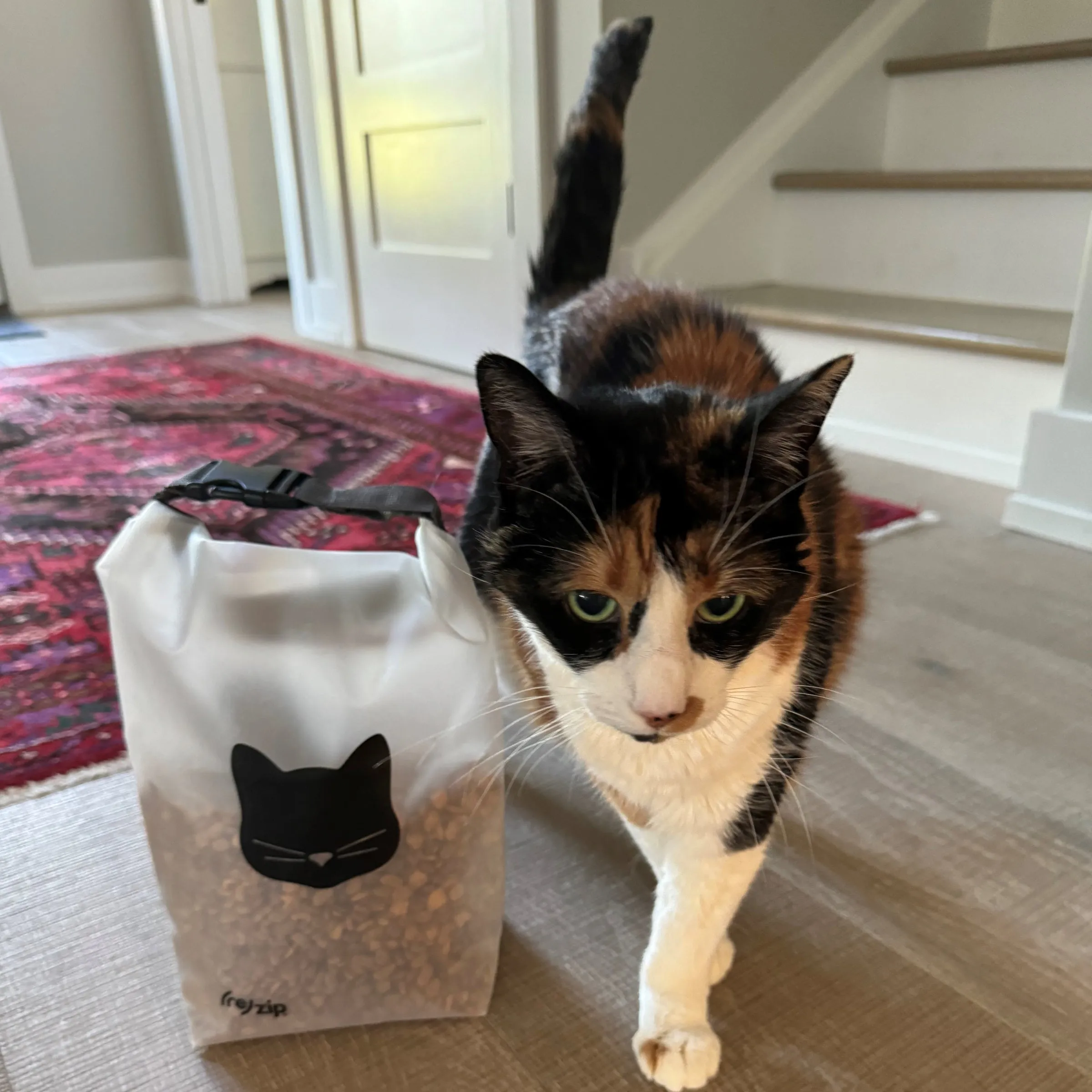 14-Cup Cat Food Storage Bag