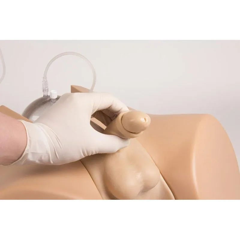 Advanced Bladder Catheterization Simulator Henri, Male