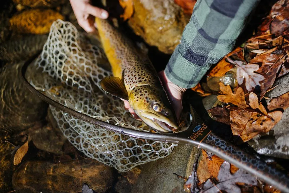 Fishpond Nomad Emerger Net