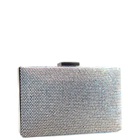 Shimmery Evening Clutch Bag